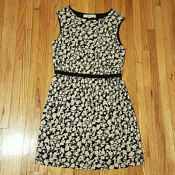 LOFT Dresses & Skirts - Loft Mini
